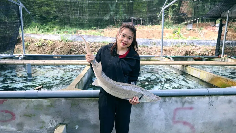Pag-aalaga ng Sturgeon sa Thanh Hoa: Mula sa Hirap sa Kabundukan tungo sa Pag-angat ng Ekonomiya