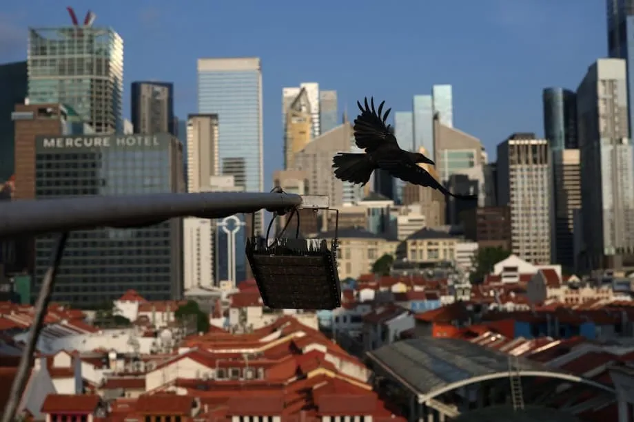 Nahaharap ang Singapore sa Nakababahalang Pagtaas ng mga Kamatayan sa Pagpapakamatay ng mga Young Adult: Pag-unawa sa Krisis at mga Paraan Pasulong