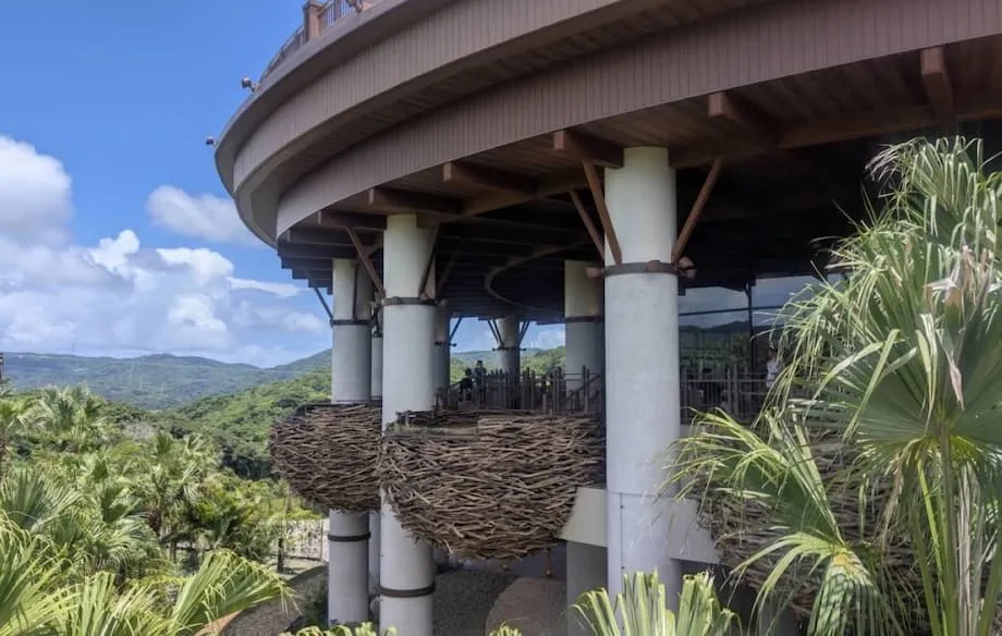Junglia: Nagbubukas ng Bagong Panahon ng Pakikipagsapalaran at Turismo ang Dinosaur Theme Park ng Okinawa