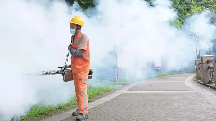 Pinakamalaking Paglaganap ng Chikungunya sa China: Paano Nilalabanan ng Guangdong ang Virus na Hatid ng Lamok