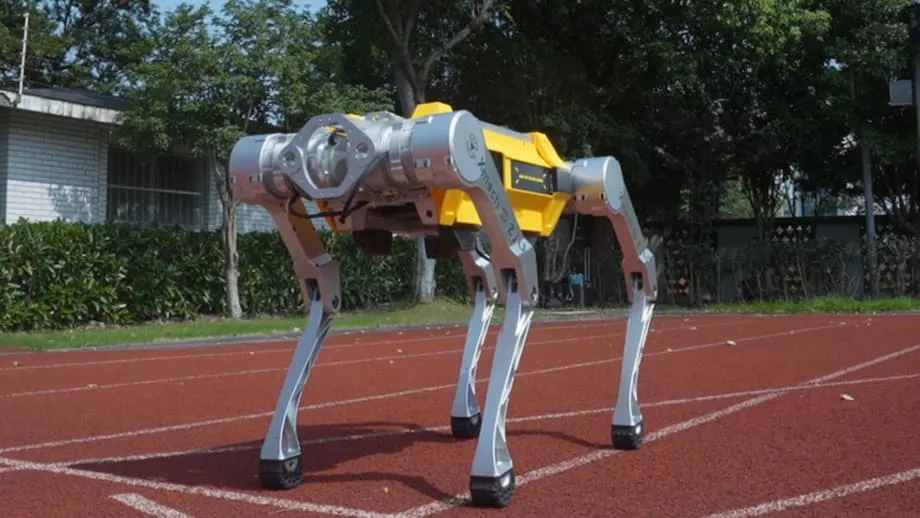Nabasag ng Robotong Aso ng China na White Rhino ang World Record sa 100-Metrong Takbuhan: Ano ang Kahulugan Nito para sa Robotics