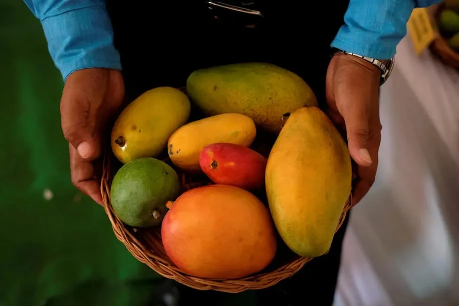 Mangga at Diabetes sa India: Hinahamon ng mga Bagong Klinikal na Pagsubok ang mga Lumang Paniniwala