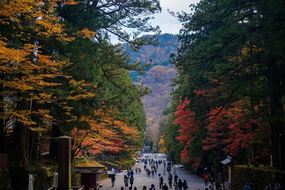 5 Lugar sa Japan para Masilayan ang mga Unang Kulay ng Taglagas