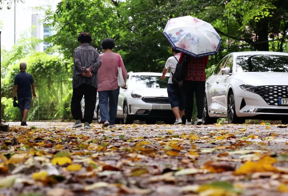 Tumataas ang Pagbabantay sa La Niña sa Timog Korea; Posible ang Pag-ulan sa Simula at Maagang Paglamig