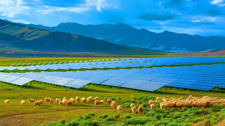 Binubuhay ng Malawak na Solar Farm ng China ang Ekosistema at Nagbibigay ng Kuryente sa Milyun-milyon
