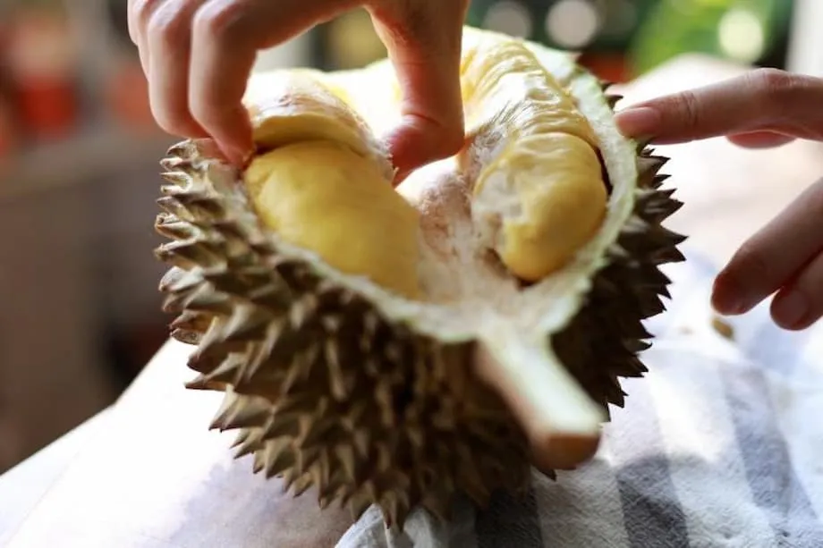 Mula sa mga imperyal na relay ng lychee hanggang sa makabagong express para sa durian: karera ng Tsina na tugunan ang lumalaking pagkahilig dito
