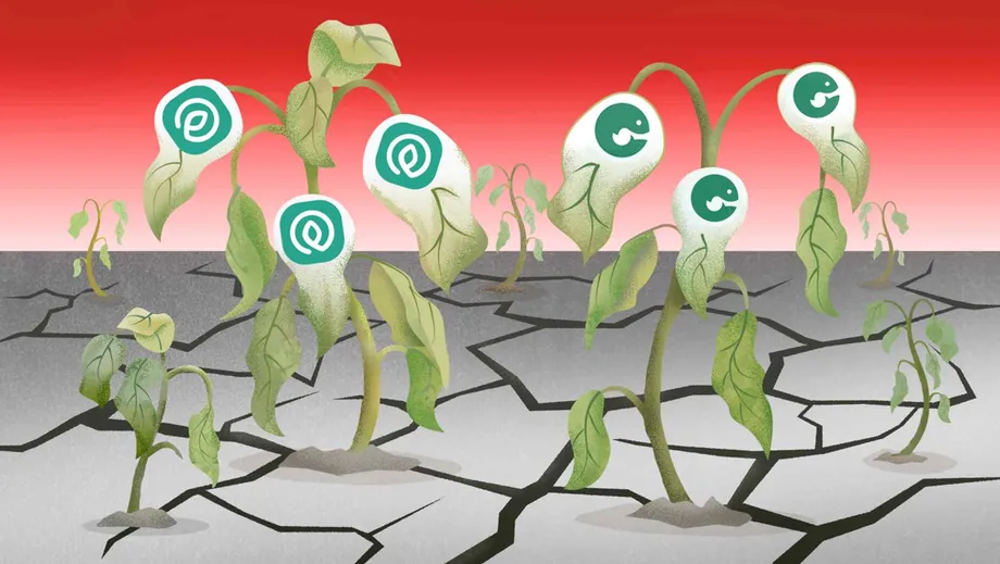 Mga Eskandalo ng Korapsyon, Nagpasiklab ng Krisis sa Pagpopondo ng mga Startup sa Indonesia