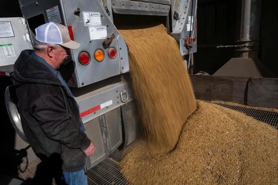 Walang inangkat na soybean mula US noong Setyembre habang lalo pang umaasa ang China sa South America