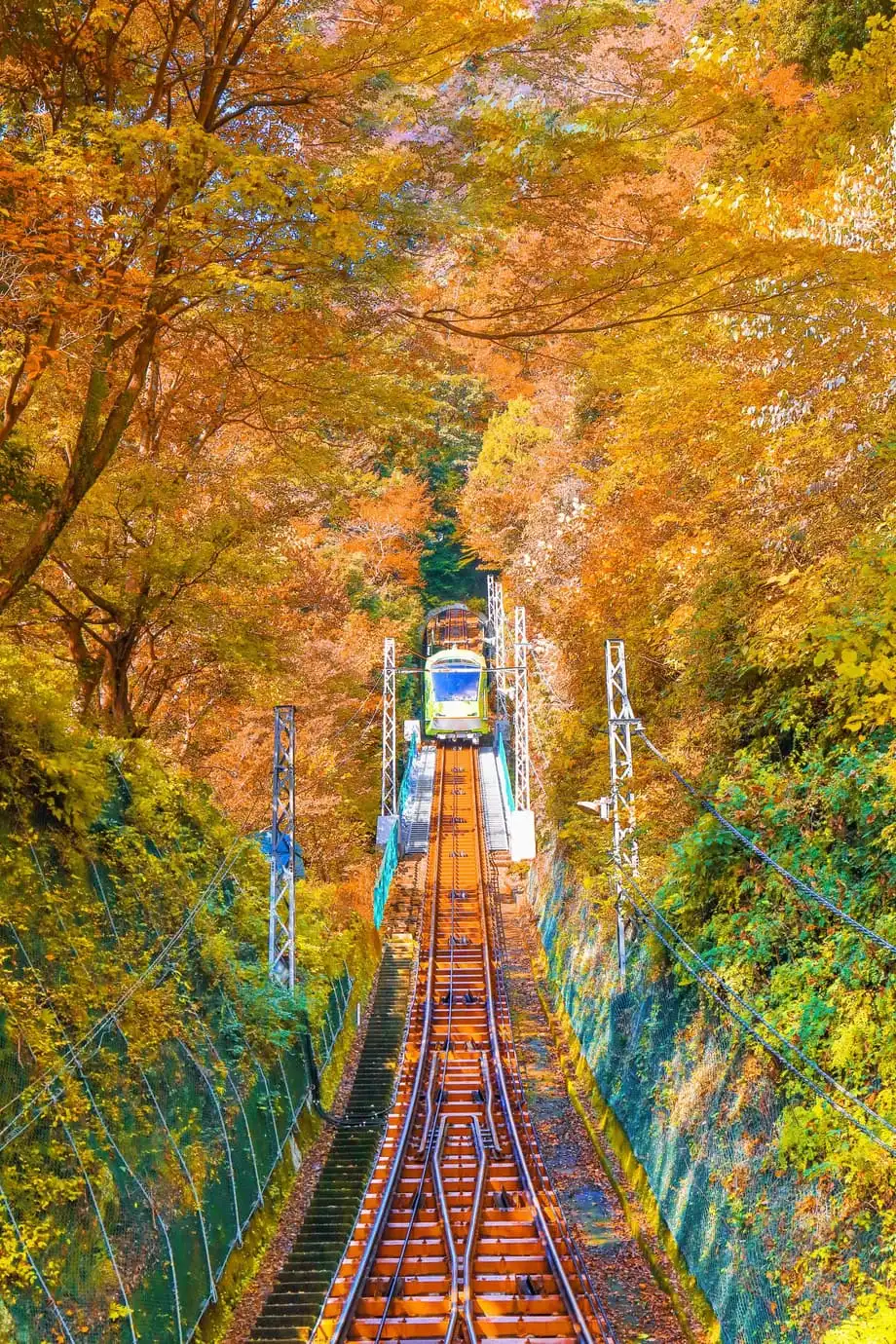 Paglalakbay sa Japan Sakay ng Tren sa Taglagas: Pinakamagagandang Ruta para Masdan ang Makukulay na Dahon