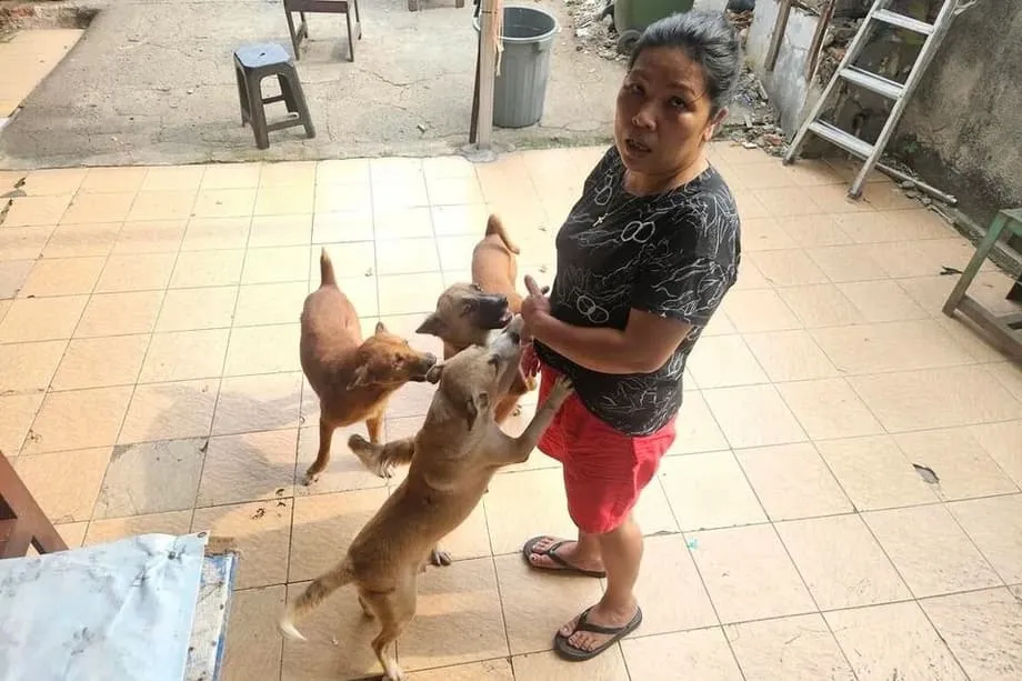 Kumikilos ang Jakarta upang ipagbawal ang karne ng aso at pusa habang tumitindi ang mga alalahanin sa kalusugan at kapakanan ng hayop
