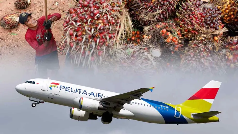 Ikomersiyalisa ng Indonesia ang Jet Fuel na Gawa sa Langis ng Palma sa Loob ng 3 Taon