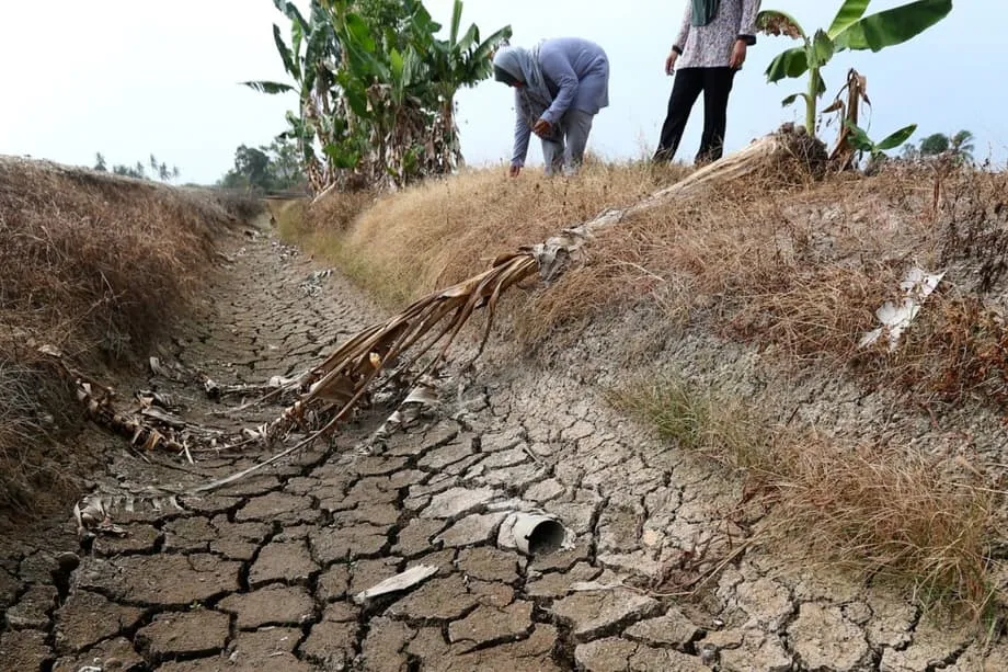 Dumarami ang mga Data Center sa Johor, Ngunit Kapos ang Suplay ng Tubig