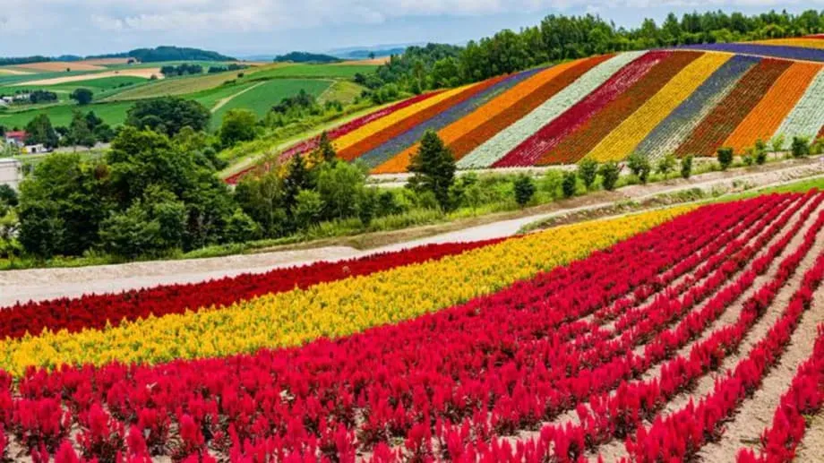 Ambisyosong Plano ng Japan na Gawing Pandaigdigang Sentro ng Chip ang Hokkaido