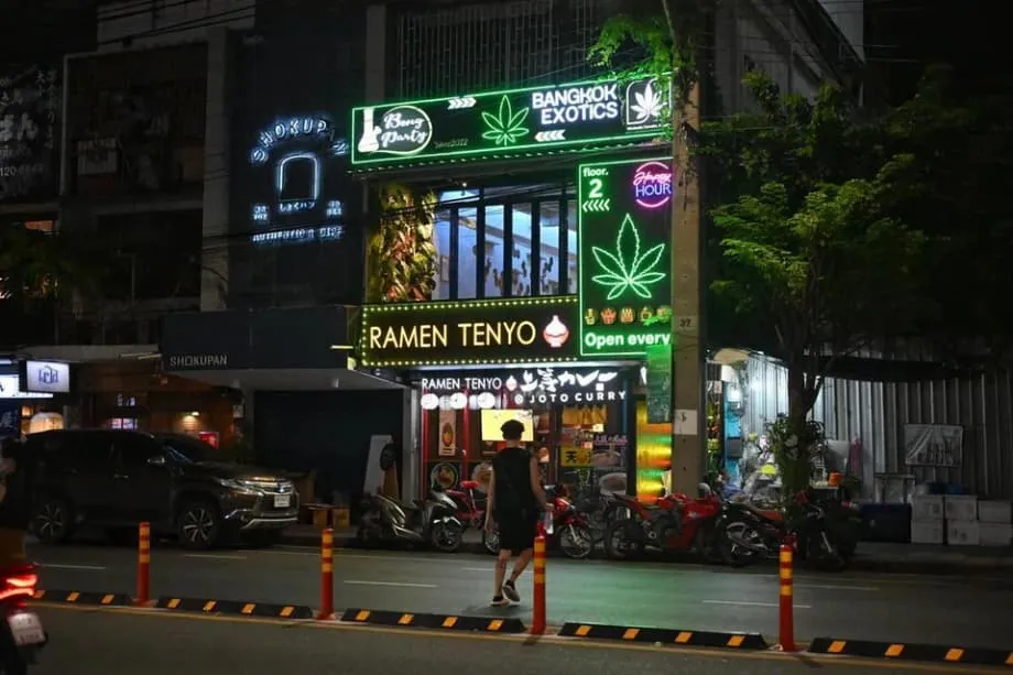 Eksperimento ng Thailand sa Cannabis: Mula sa Pag-asang Pang-ekonomiya tungo sa Pag-aalala ng Lipunan