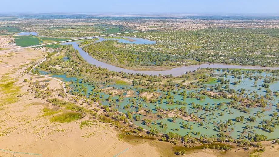 Ginawang Carbon Sink ng Great Green Wall ng China ang Disyerto ng Taklamakan
