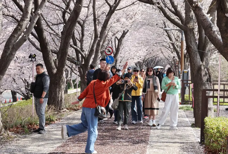 Pinalalawak ng South Korea ang Imprastraktura ng Turismo sa Labas ng Seoul sa Pamamagitan ng Matalinong Transportasyon at Ugnayang Panrehiyon