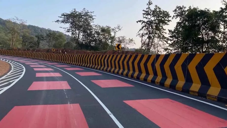 Layunin ng Unang 'Red Road' ng India na Iligtas ang mga Hayop sa Pamamagitan ng Disenyo, Hindi Pagpapatupad ng Batas