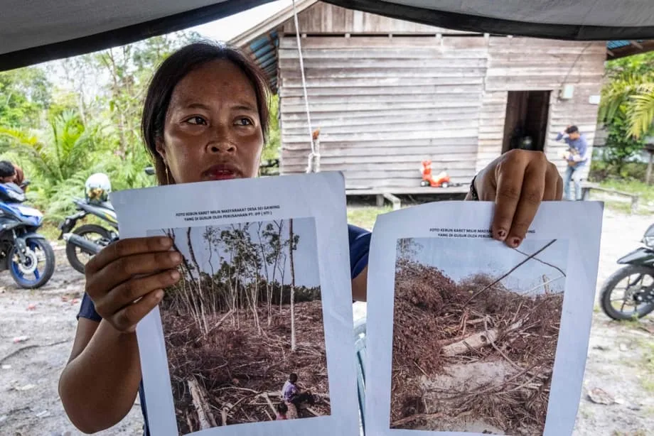 Pumutol ng Ugnayan ang Higanteng Parmasyutiko Matapos Iugnay ng Imbestigasyon ang Carbon-Neutral na Packaging sa Pagkasira ng Tirahan ng mga Orangutan