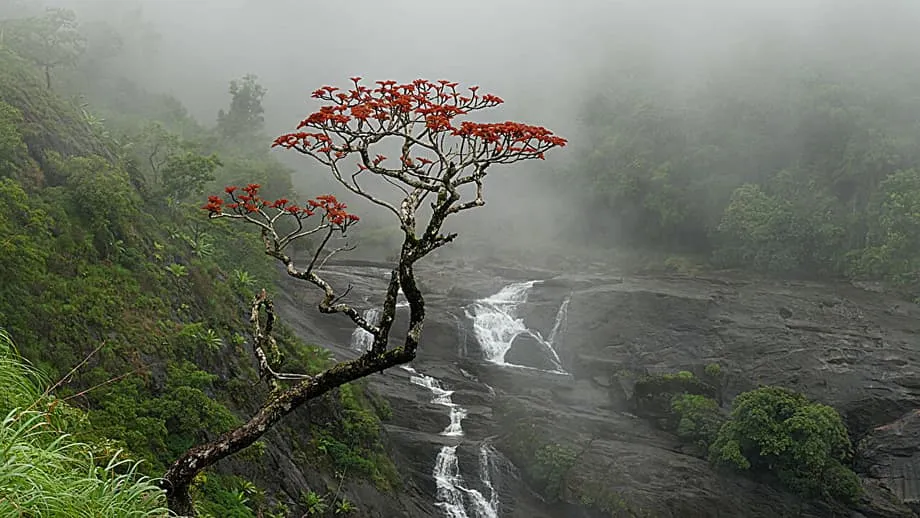 Nagdudulot ang Malamig na Bahagi ng Atlantiko ng Walang-Katulad na Pagbabago sa mga Padron ng Monsoon sa India