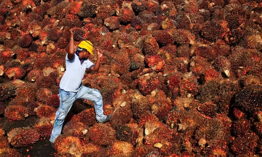 Nagsisikap ang Malaysia na pasiglahin muli ang kalakalan ng palm oil sa China habang pumapabor sa soybean oil ang agwat ng presyo