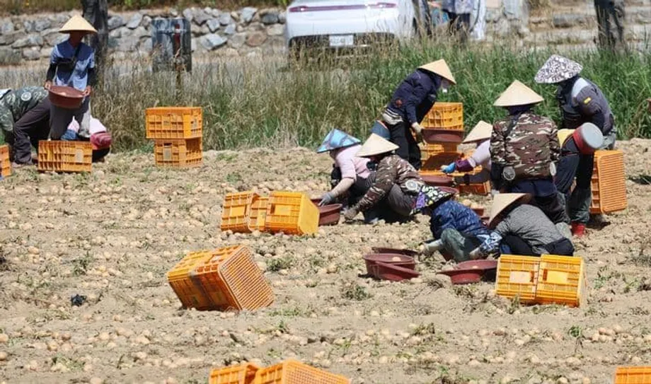 Bumaling ang Korea sa Imigrasyon, Ngunit Nagbabala ang Pag-aaral na Hindi nito Mapipigil ang Pagbaba ng Populasyon