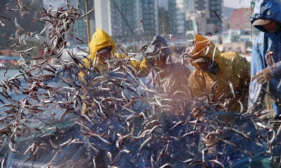 Lumampas sa ₩3 Milyon ang Buwanang Kita ng mga Dayuhang Propesyonal sa South Korea Habang Hinaharap ng Bansa ang Krisis sa Demograpiko