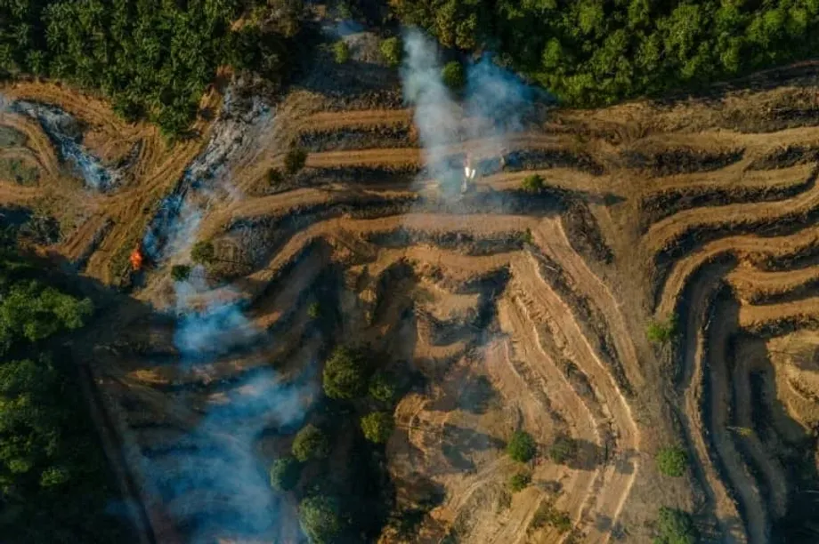 Pagsisiyasat sa Pandaraya sa Langis ng Palma sa Indonesia, Nag-uugnay sa Malalaking Kumpanya ng Enerhiya sa Europa sa Iskemang Maling Paglalabel