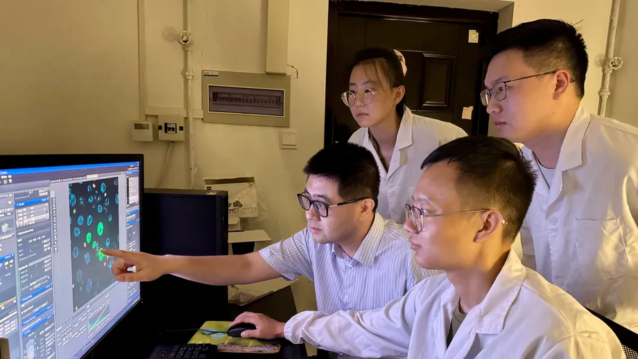 Tsinghua Team Builds Mouse Embryo Models With Beating Heart Tissue From Chemically Induced Stem Cells