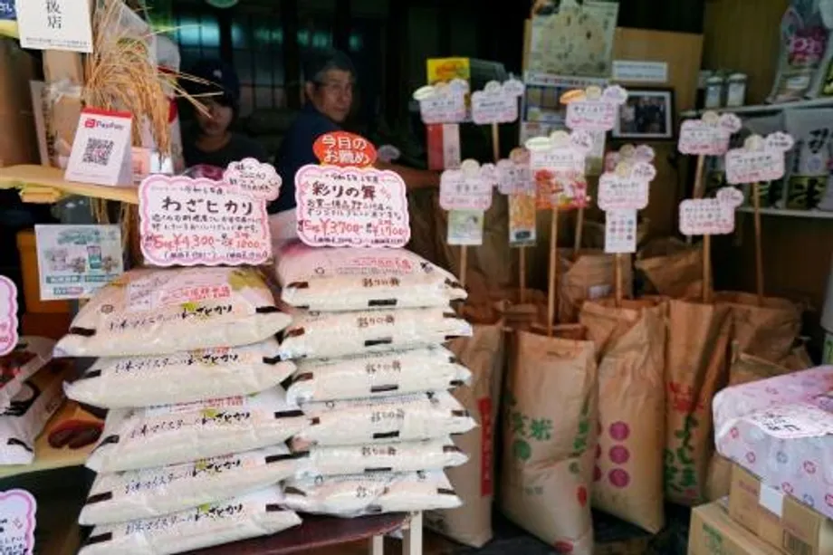 Pagtaas ng Presyo ng Bigas sa Japan: Mga Sanhi, Bunga, at Pakikibaka para sa Seguridad sa Pagkain