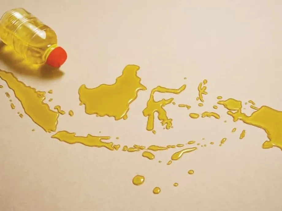 Paano Sinusuportahan ng Langis ng Palma ng Indonesia ang Seguridad sa Pagkain at Katatagan ng Presyo sa Pakistan